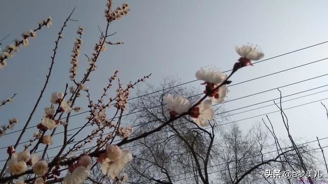 有一种作，叫玩暧昧！