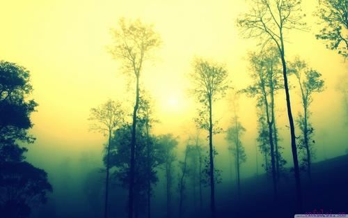 3招撩妹技巧，分分钟撩到一个女朋友！