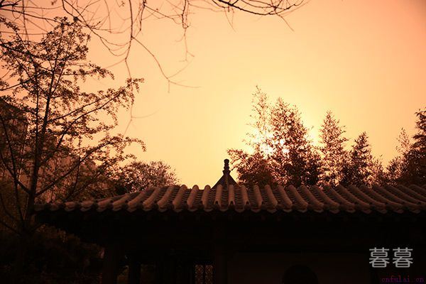 经典伤心句子说说 戳人心扉的文字大全