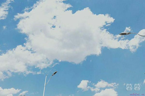 情感话语表白 每一句都暖人心扉