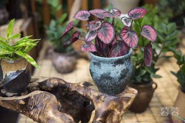 生日怎么发说说有创意 创意和温暖要并存