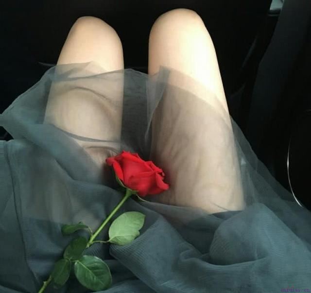 暖心套路情话，拿去试一试