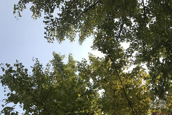 姐弟恋男生更粘人吗 恋爱时男生要注意什么