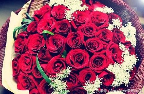 爱情的不同阶段，如何给女朋友送花？