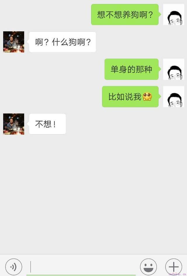 撩妹?应该怎么撩?让老司机来教教你