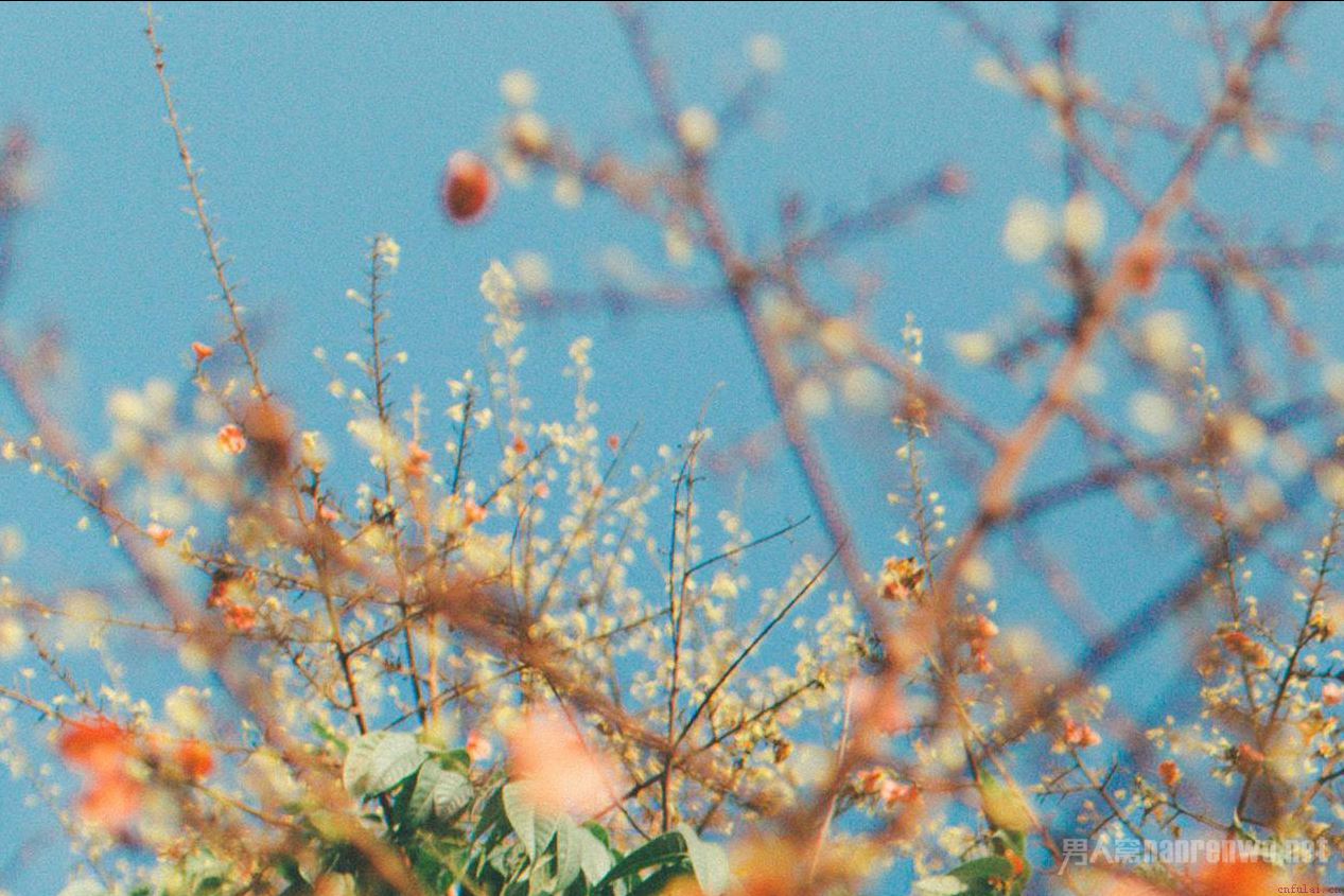 夫妻之间如何相融以沫 学会这些恋爱经验让感情生华