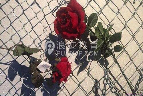 女生无法拒绝的表白语句