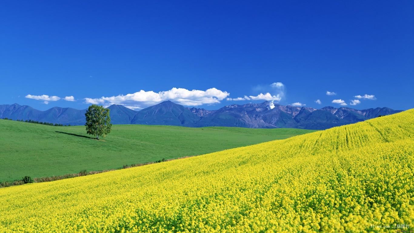 分手后让他主动挽回的套路?分手后怎样做他会主动挽回