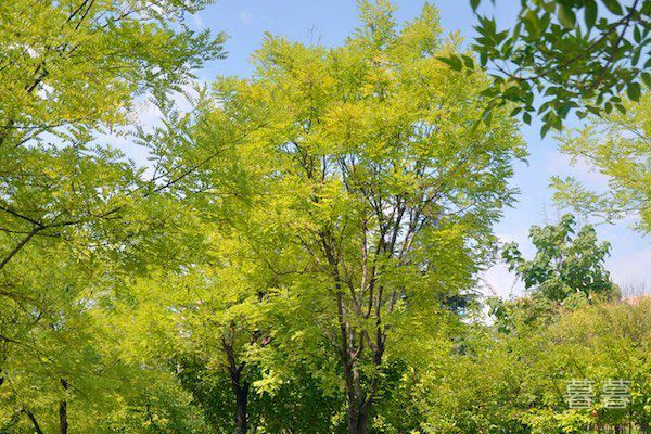 朋友圈公布恋情怎么说 秀恩爱只需要一句话