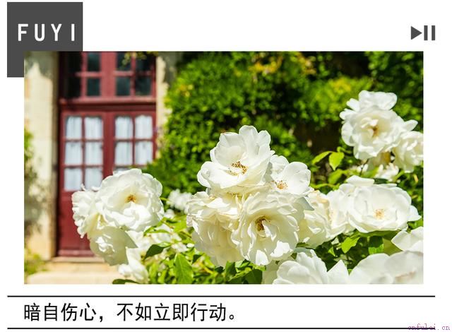 挽回男友必读的挽回套路，让挽回成功率提升10倍！