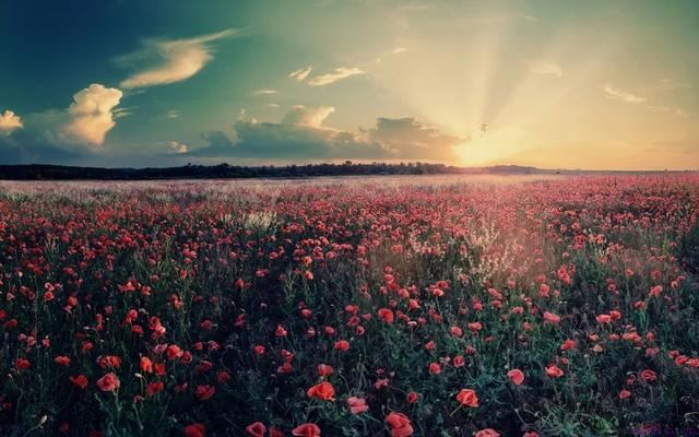 如果喜欢上一个人该怎么办？