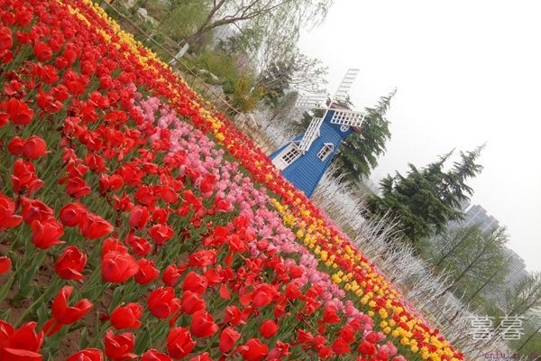 女人死心为什么会在一瞬间 如果爱她就请别伤害她