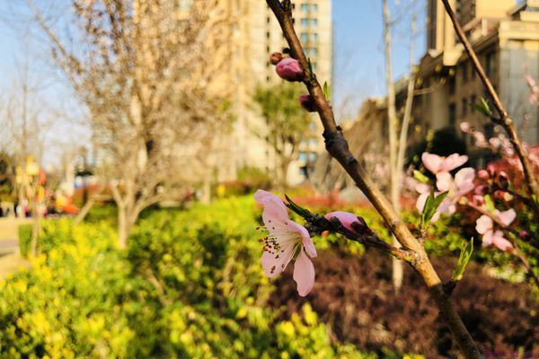 早会励志语录正能量句子 新的一天要元气满满