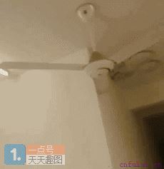 撩妹其实很简单，只需这一招