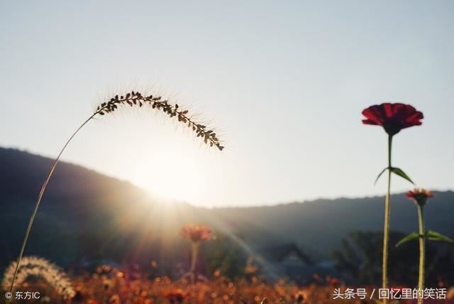 最权威的挽回方法就在这里，不看你肯定会后悔
