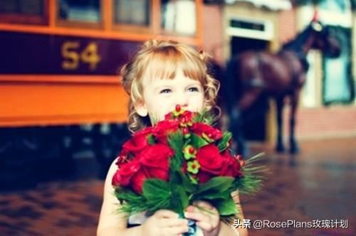 送什么花给女朋友,如何送花更浪漫?