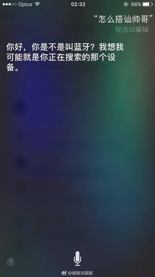 实战教你怎么泡妞！单身狗快来看，哈哈哈哈哈！