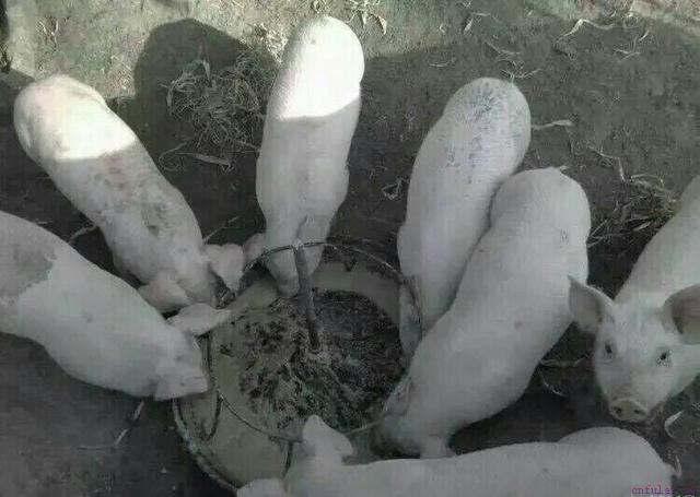 撩妹：简单点，聊天的套路简单点