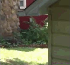 泡妞、只需一点小小的套路