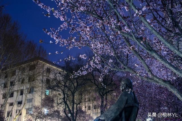 单身的人,千万不要因为寂寞而恋爱,那样真的得不偿失