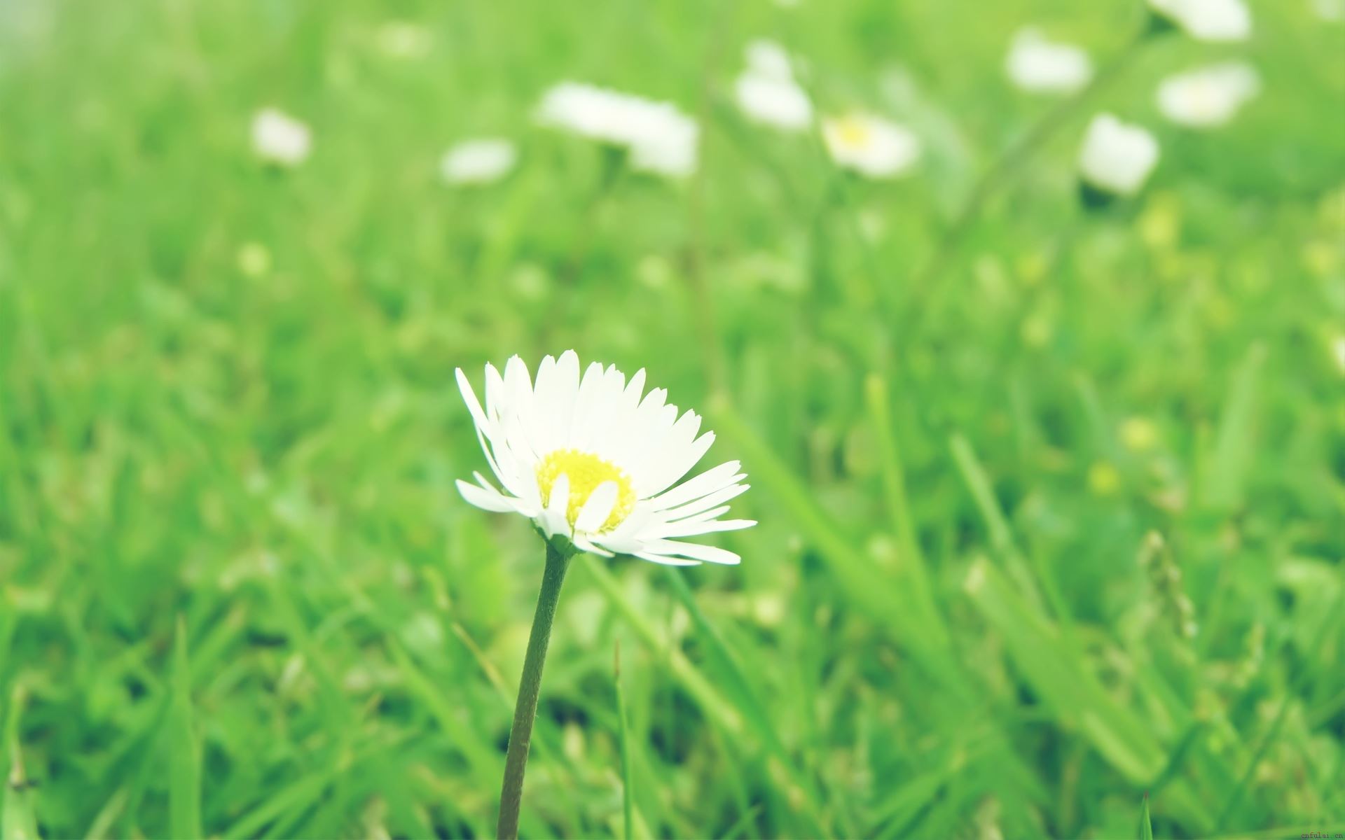 怎样追到自己喜欢的人?如何撩汉