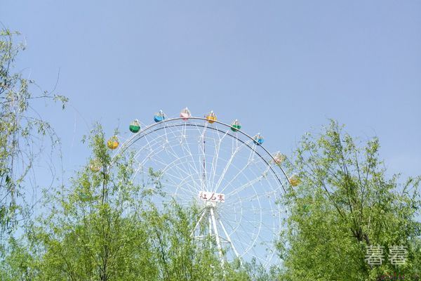 女人为什么不敢结婚 嫁错了比嫁不出去还可怕