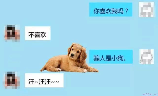 12个超实用表白方式，个个都是套路