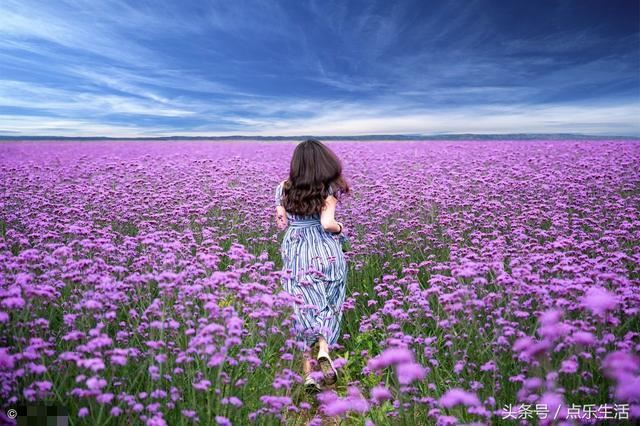 让女生快速爱上你的绝招,如何让女生快速爱上你