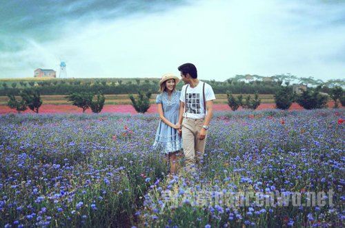 爱若懂得 终会遇见美丽和醇香