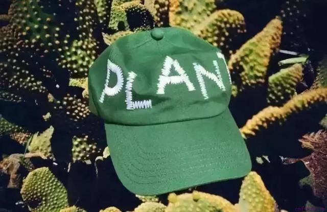 男人，一生中的几种被“绿”的可能