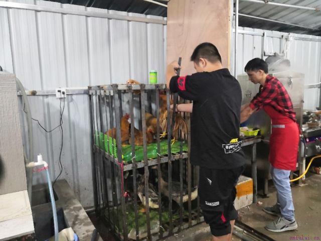 看了高手的泡妞方法，直言学不来，太难了