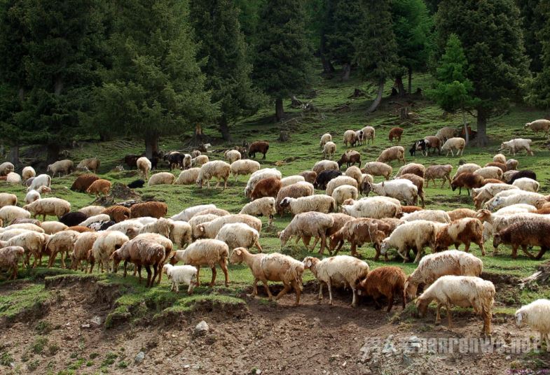 瘦的女生受男生欢迎吗？ 爱情中外在很重要吗？