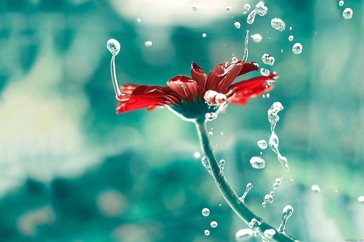 感情淡了怎么挽回?怎么升温感情