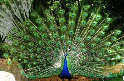 七夕节用九招教你成功到追女生