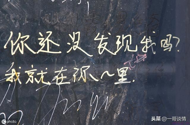 关于爱情：12句暖心情话，七夕节表白专用