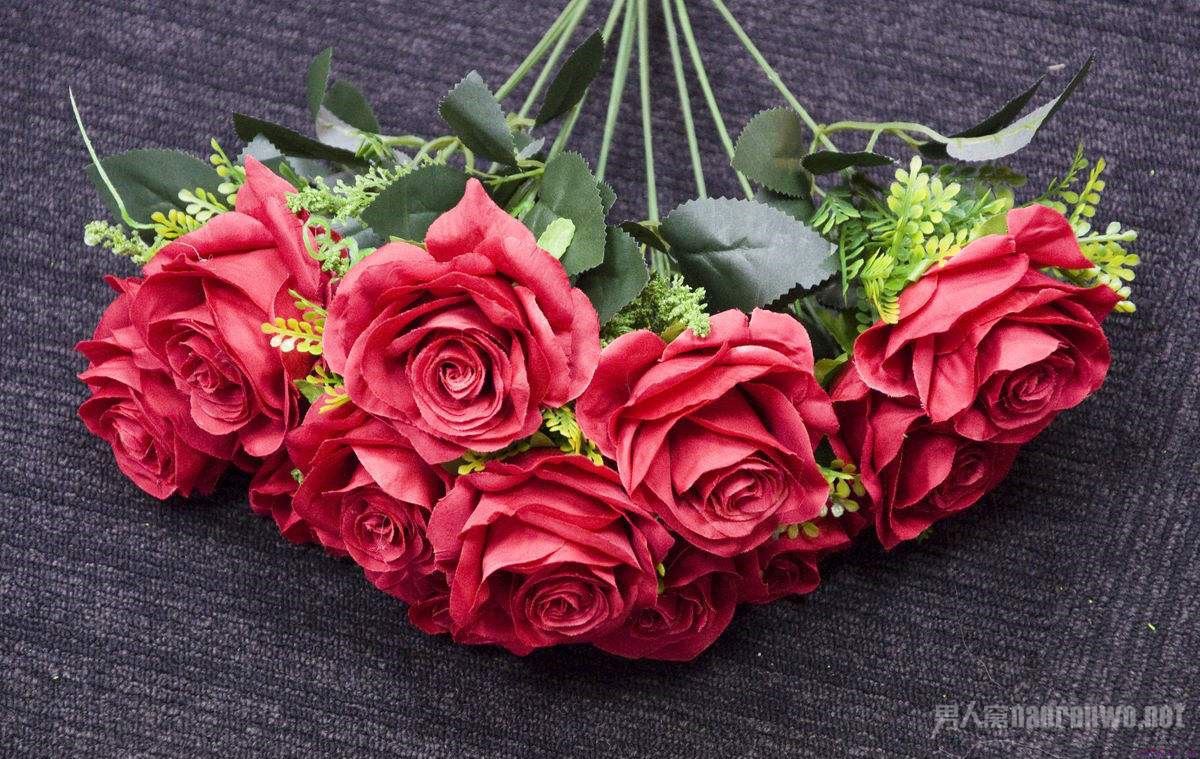 七夕该送什么花 看完这篇你就知道