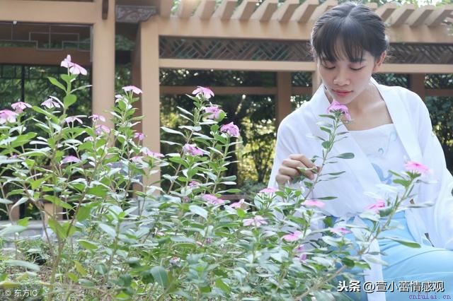 八种简单的表白方式，分享给想恋爱的你