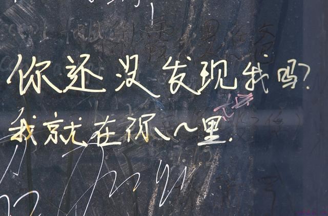 2020年最新的“一句情话”，很甜很撩人，适合表白和发朋友圈