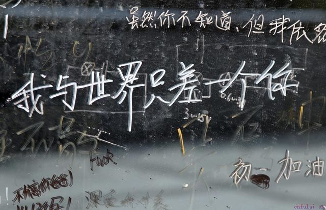 2020年最新的“一句情话”，很甜很撩人，适合表白和发朋友圈