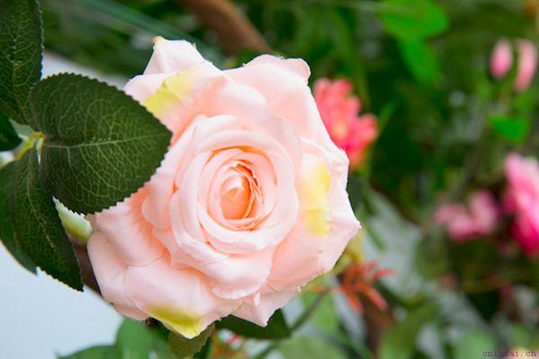 圣诞节给女朋友买什么 这些才是她们最喜欢的