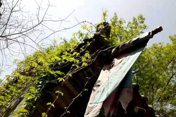 跟相亲对象聊天的忌讳是什么 有些事情不适合见面就谈