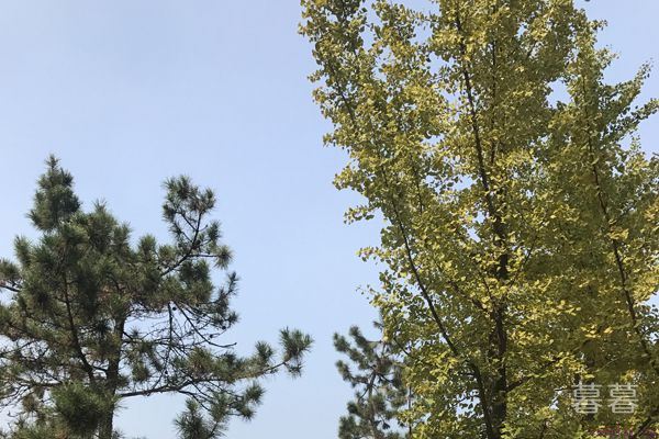 漂亮的女生容易姐弟恋 男人就是喜欢这种女生