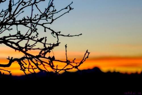 如何挽回心寒的男人?男人死心了还能挽回么