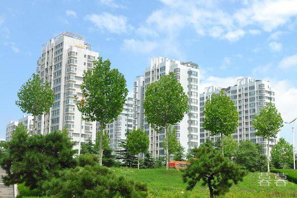 史上最催泪的真实故事 让人瞬间充满泪点