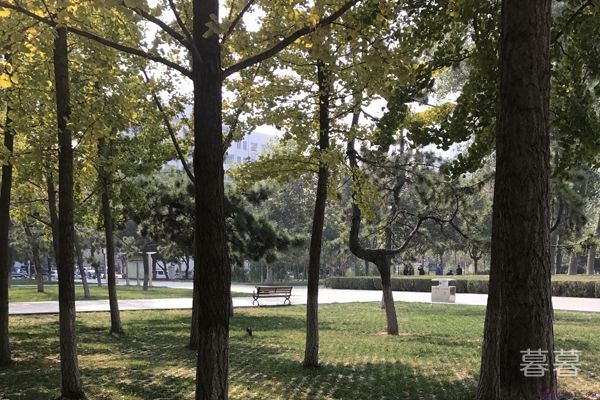 姐弟恋需要女生强大吗 该怎么把握好这段关系