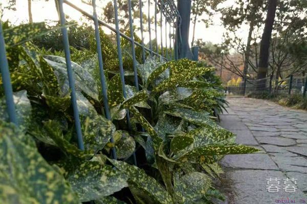 挽回婚姻的感人句子 他可能并不是真的想离开你