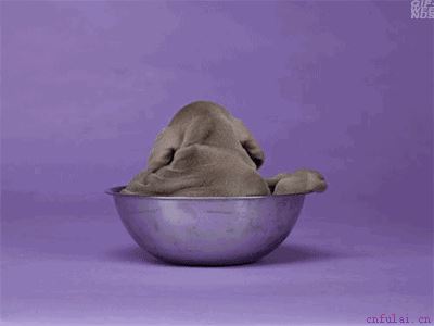 为什么你总是被发好人卡