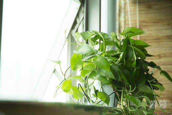 父亲节祝福语精选 愿你每天开心快乐